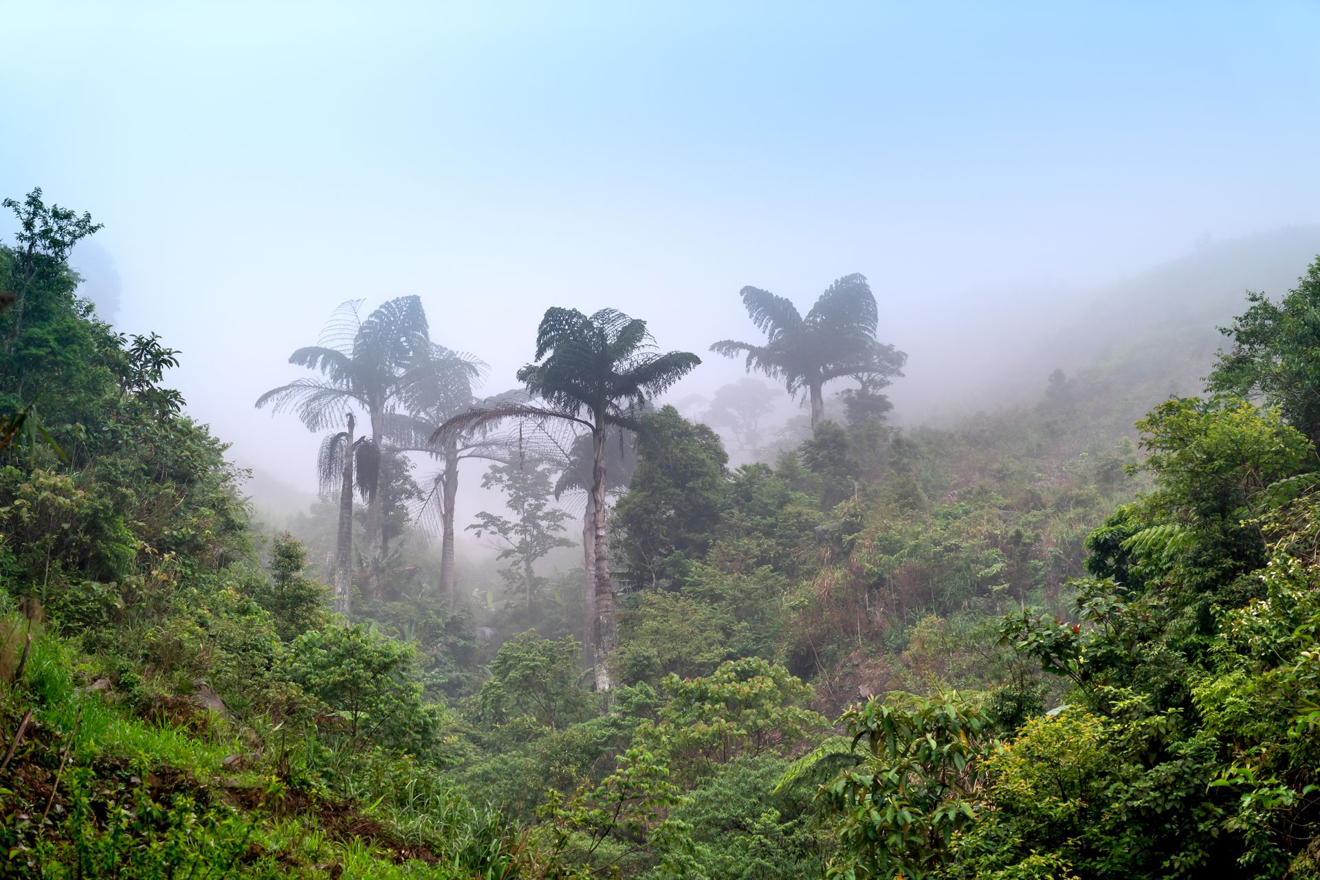 Volcanoes, Rwanda