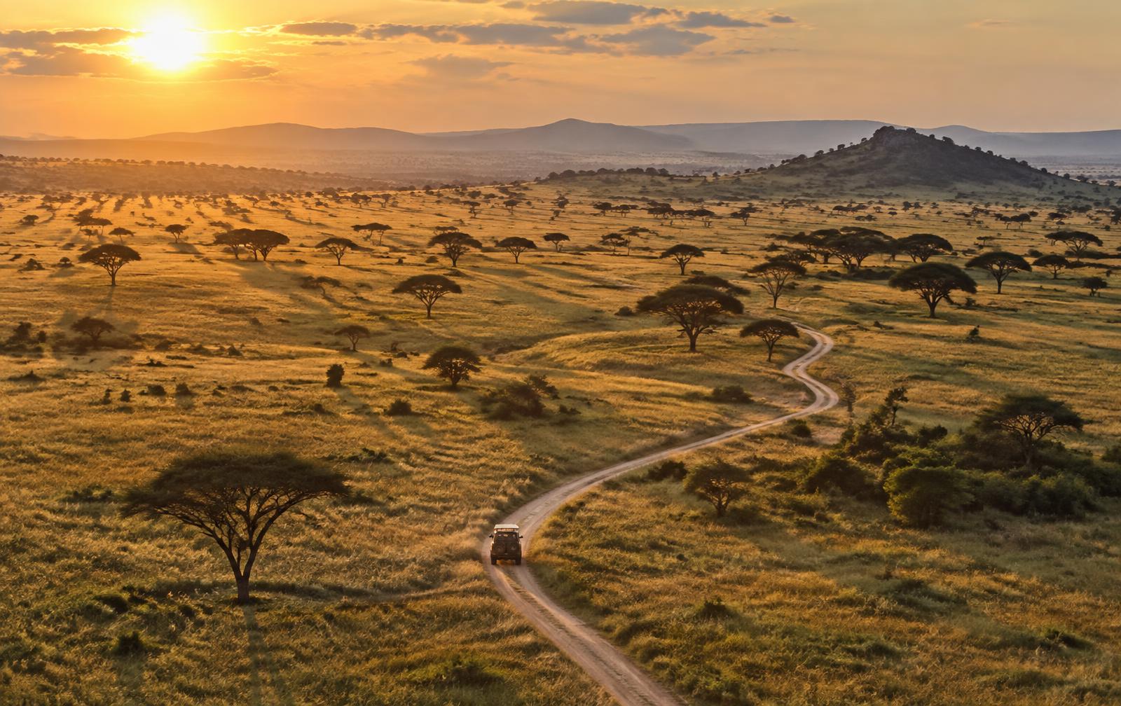 Serengeti, Tanzania